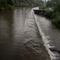 Sengal Anai(Dam)