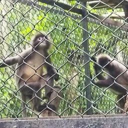 The Sepahijala Zoological Park - Sepahijala District, Tripura, India