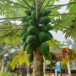 Seth Tulsidas Kilachand Garden