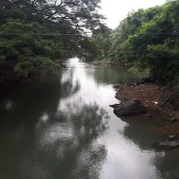 SGNP River Small Dam