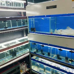 Sh fish farm