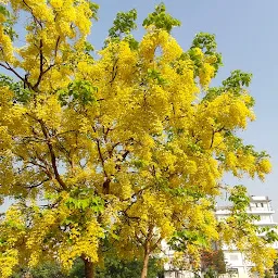 Shaheed Park, Ghodi Bachheda