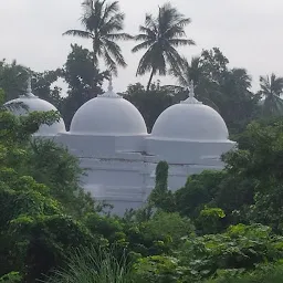 Shahi Qila Masjid