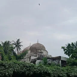 Shahi Qila Masjid