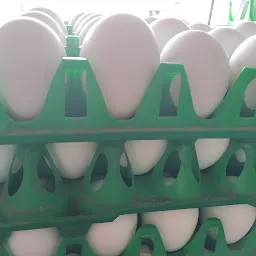 Shaikh Chicken and Egg Centre