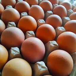 Shaikh Chicken and Egg Centre