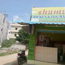 Shama Chicken Eggs Market