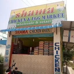 Shama Chicken Eggs Market