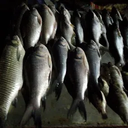 Shankar Fish Market