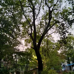 Shankar Nagar Park