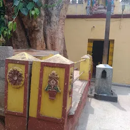 Shankara Narayana Swamy Temple (SNST)