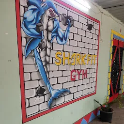 SharkFit Gym