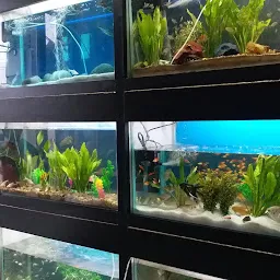 Sharma Aquarium