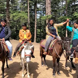Sharma Horse and adventure Booking.