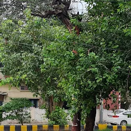 Shastri Nagar Market