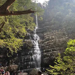 Sheshachala Forest