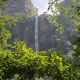 Sheshachala Forest