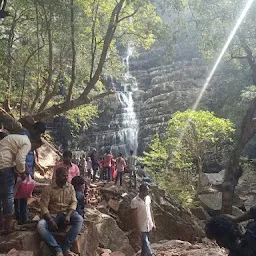 Sheshachala Forest