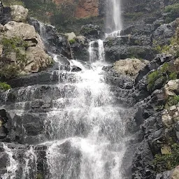 Sheshachala Forest