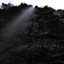 Sheshachala Forest