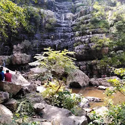 Sheshachala Forest