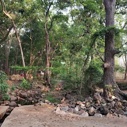 Sheshachala Forest