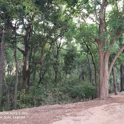 Sheshachala Forest