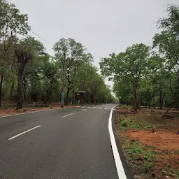 Sheshachala Forest