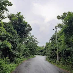 Shikharachandi Hill Forest