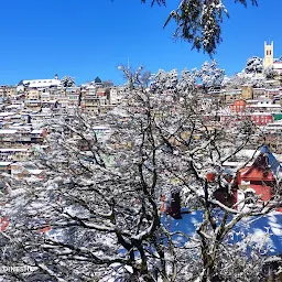 Shimla camping