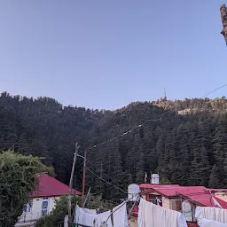 Shimla Pines Homestay