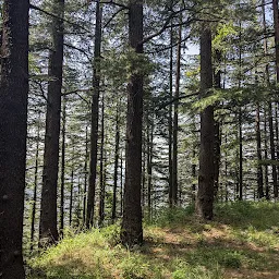 Shimla Water Catchment Wildlife Sanctuary