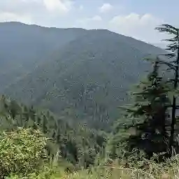 Shimla Water Catchment Wildlife Sanctuary