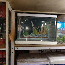 Shipali Aquarium