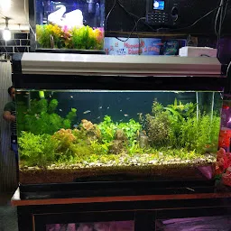 Shipali Aquarium