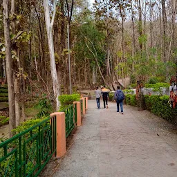 Shitla Mata Mandir