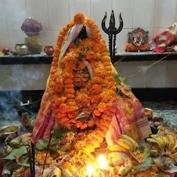 Sri Sri Shiv Shakti Mandir