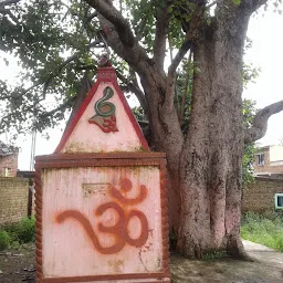 Shiv Mandir शिव मंदिर