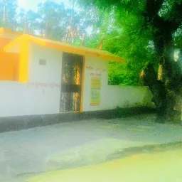 Shiv Mandir, Shivnagar