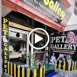 Shiv pet shop