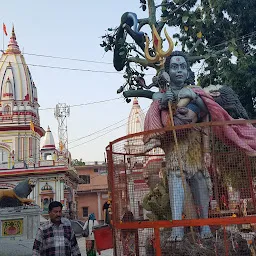 Shiva Sati Murti Temple