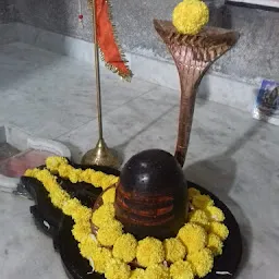 Shivji Temple Baliyadev Mahollo