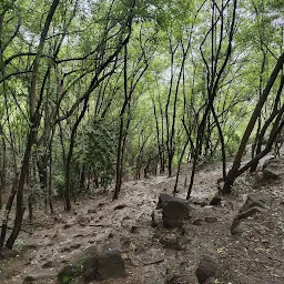 Shivneri Point , Pashan Hill