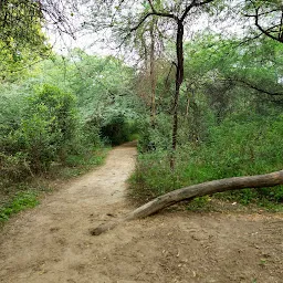 Shlok Trivedi Park