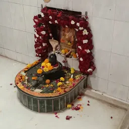 Shree Ambaji Mataji Temple(Malav Talav)