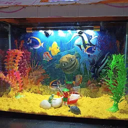 Shree Aqua Culture Aquarium fish and pets shop