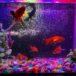 Shree Aquarium