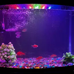 Shree Aquarium