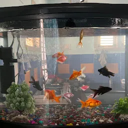 Shree Aquarium