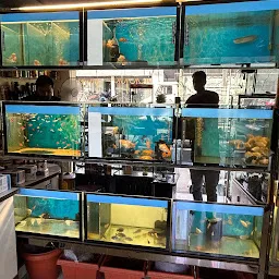 Shree Aquarium